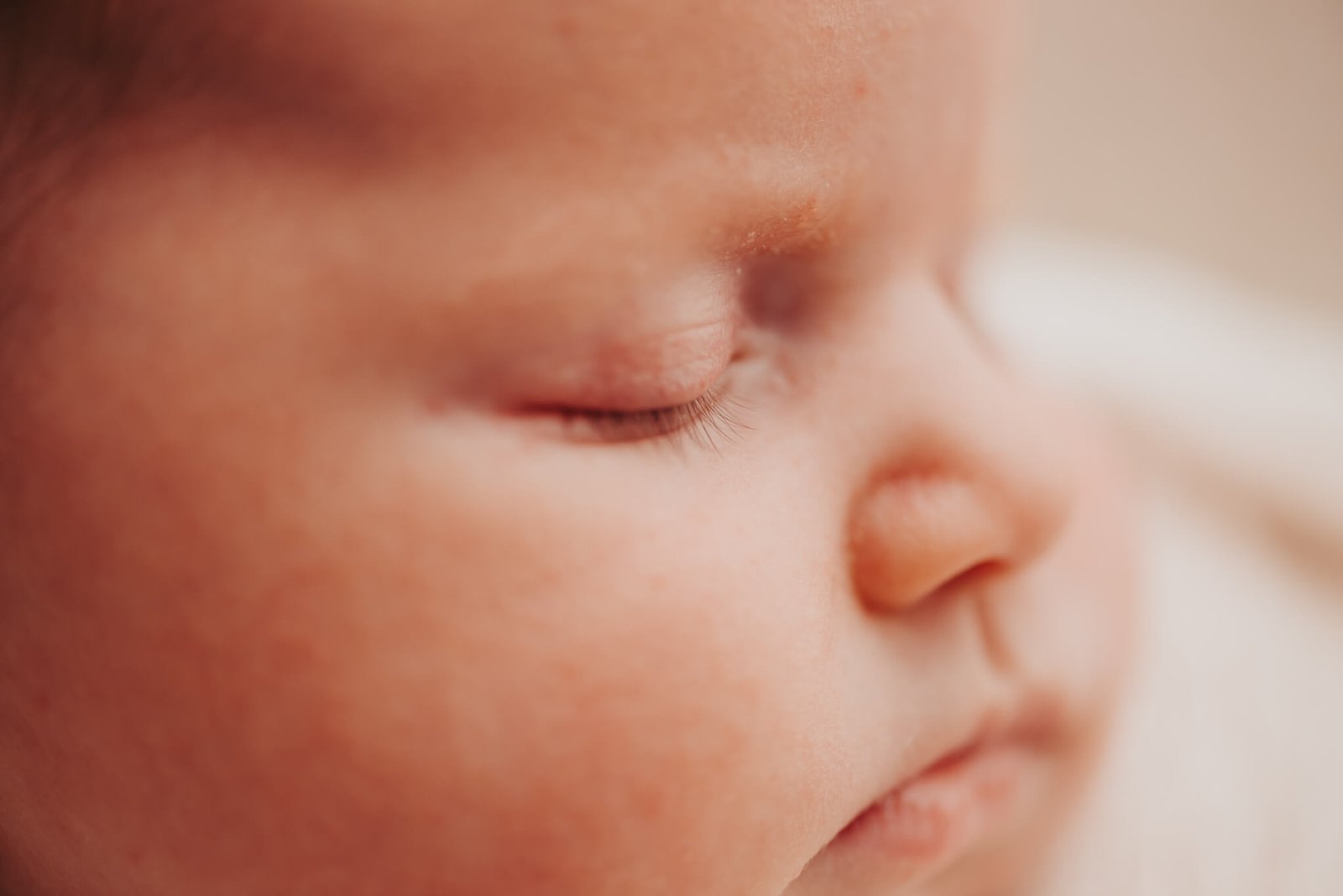 East Auckland Newborn Photographer
