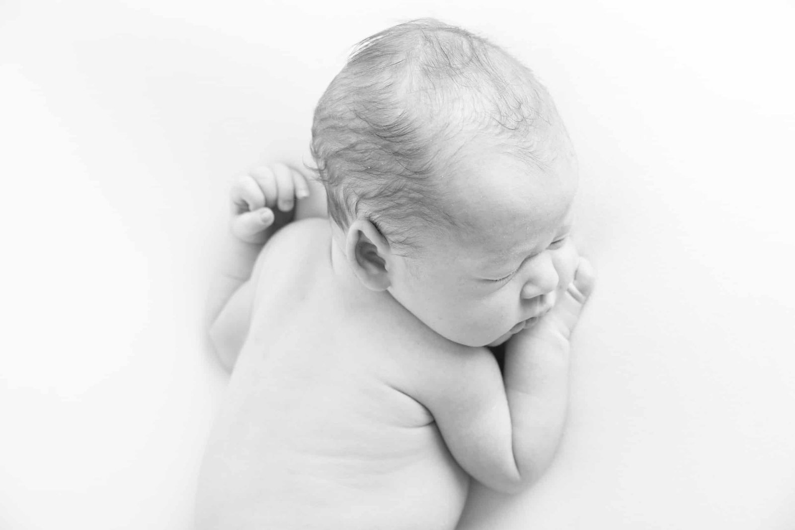 East Auckland Newborn Photographer