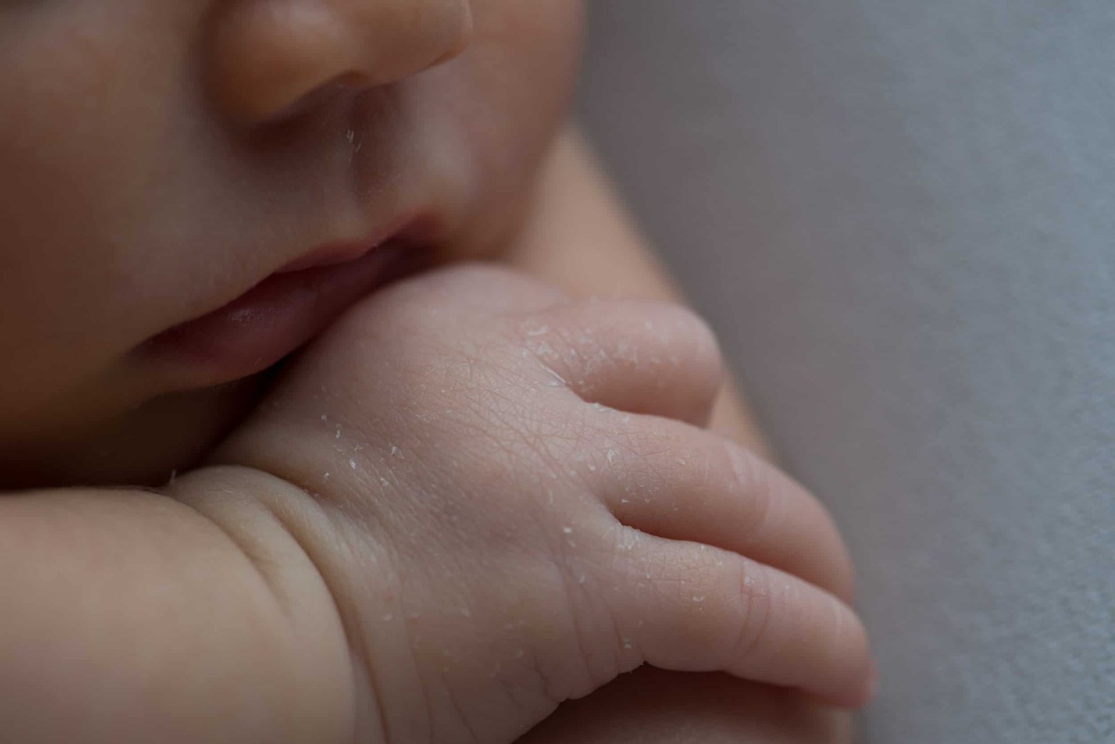 East Auckland Newborn Photographer